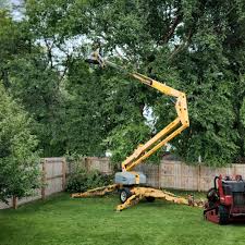 Best Seasonal Cleanup (Spring/Fall)  in Northbrook, IL