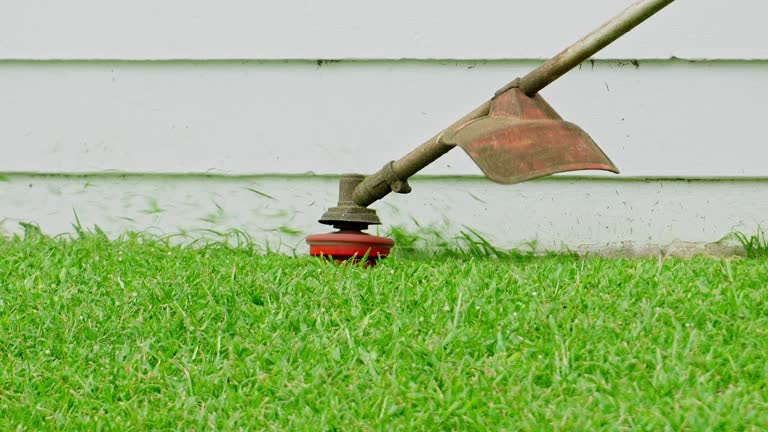 Lawn Grading and Leveling in Northbrook, IL